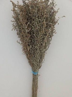 Віники для бані дуб береза евкаліпт трав'яні віники для запаха м'ята п