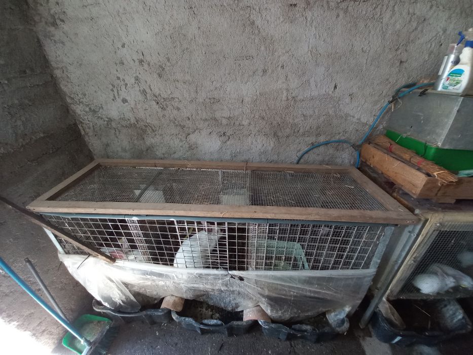 Gaiolas para coelhos