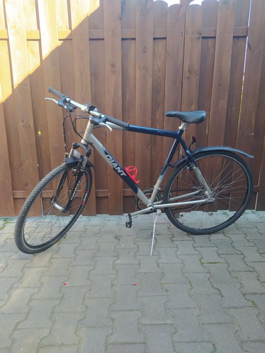 Rower męski trekkingowy firmy Giant