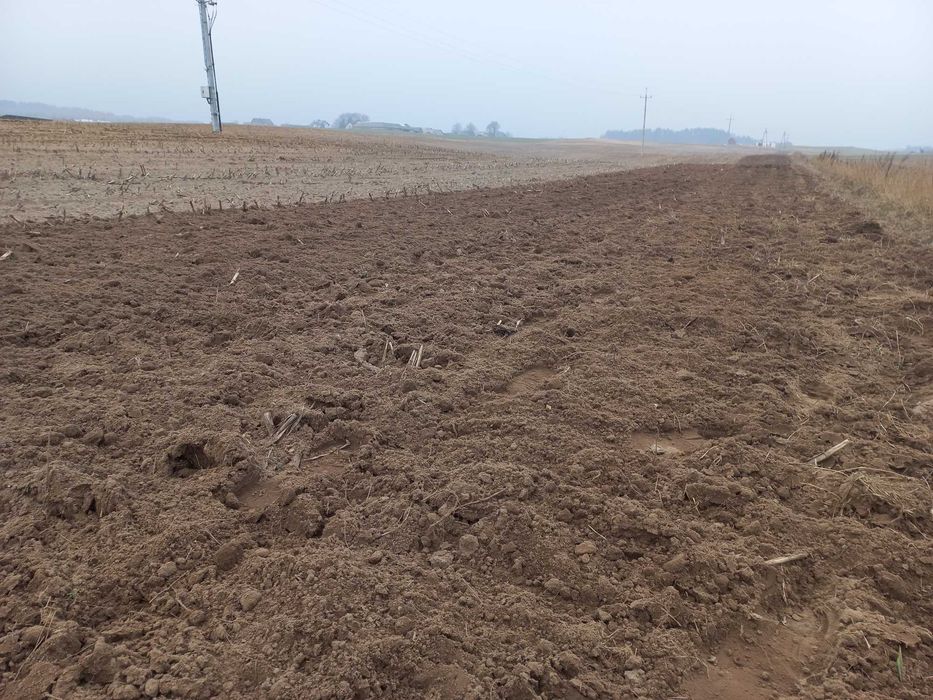 Agregat Bezorkowy Podorywkowy Ścierniskowy Dłutowy Gruber PRODUCENT