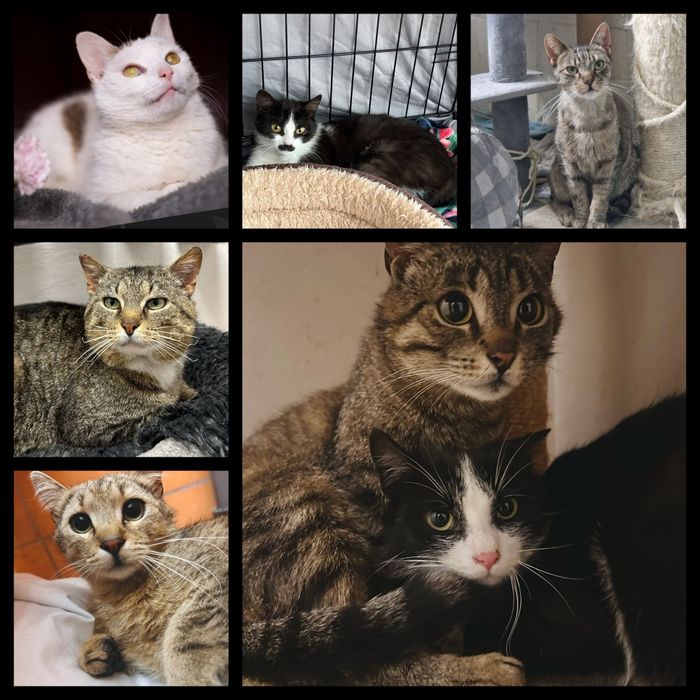 U nas czeka twój przyszly przyjaciel