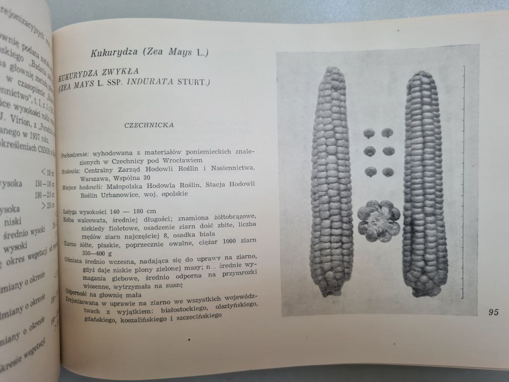 Katalog odmian roślin rolniczych