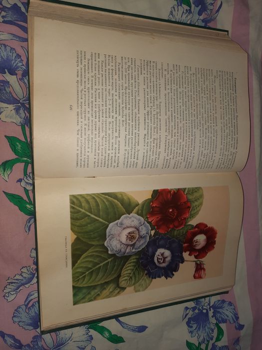 Цветоводство Киселев 1953 рік