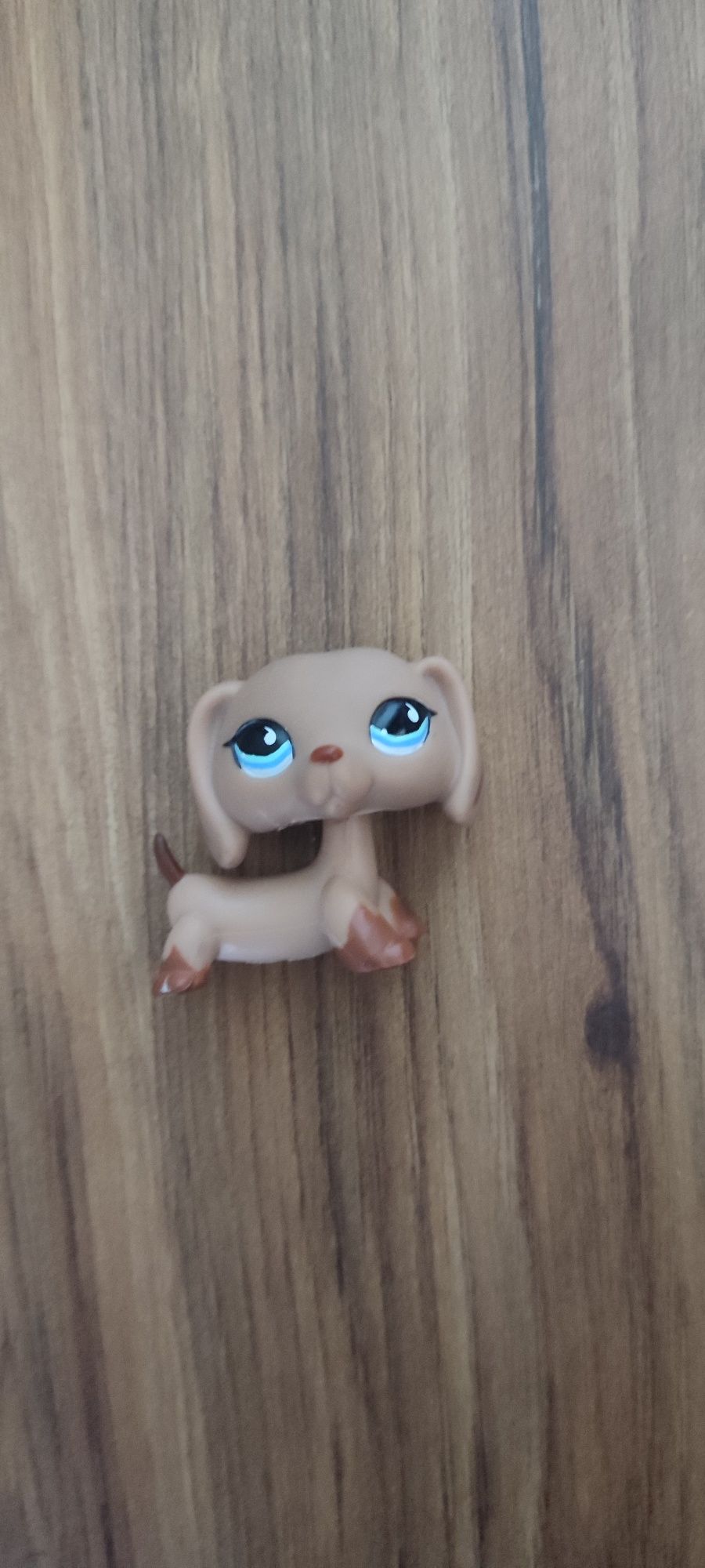 Littlest pet shop pop jamnik