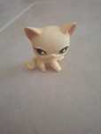 Littlest Pet Shop Yellow Shorhair Cat #733