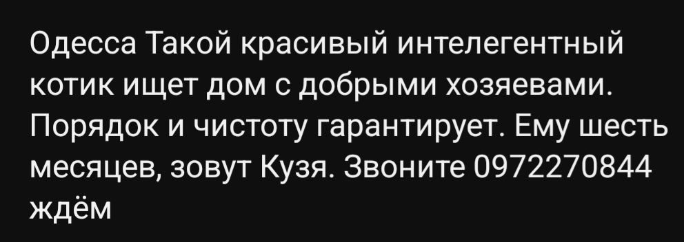 Отдам даром в добрые руки пушистого полосатого котика
