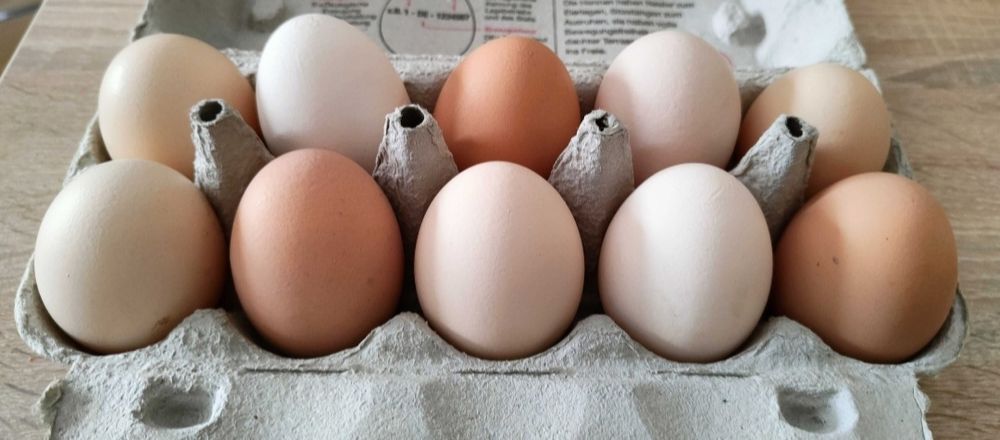 Jajka wiejskie!!  duże L.. ekologiczne.. świeże..