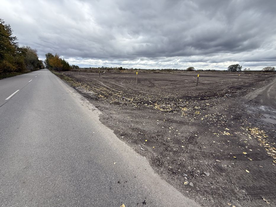 Зазимя, продаж 8сот. біля річки Десна,асфальт,комунікаціі