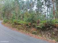 Terreno para construção em Cedrim, Sever do Vouga