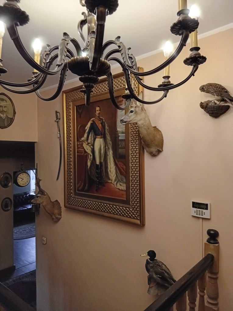 XX w Stara Kopia Portretu Napoleona III Winterhaltera Olej na Płótnie