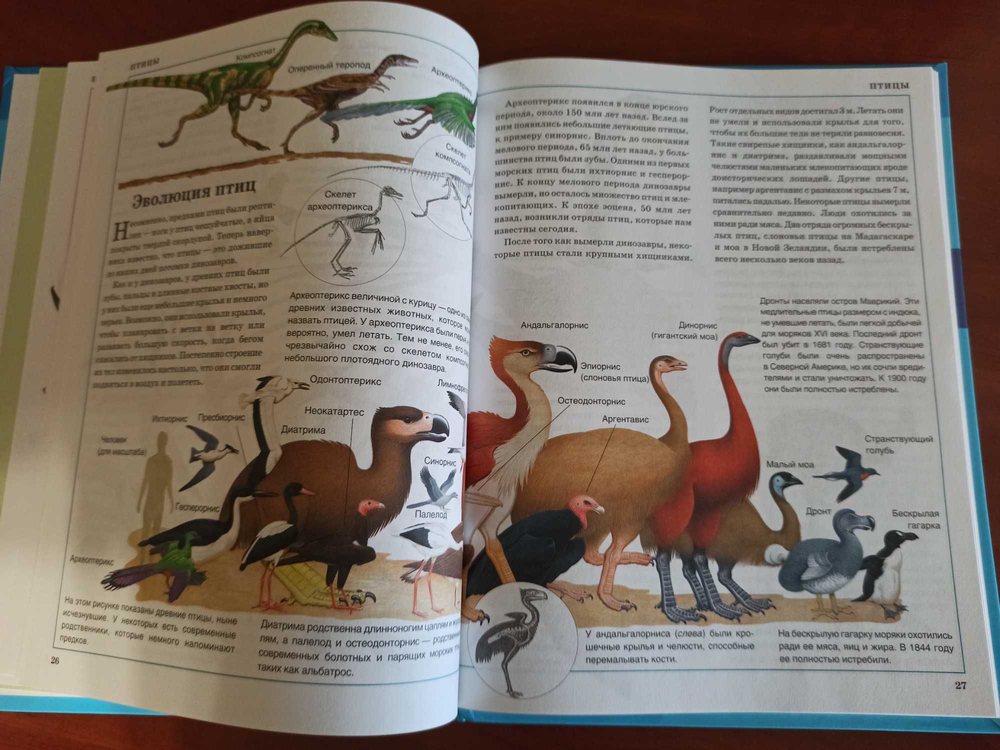 Энциклопедия для детей Животные