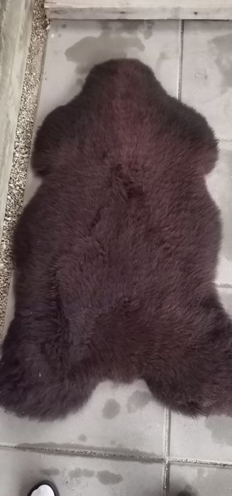 Skóra barania owcza dekoracyjna