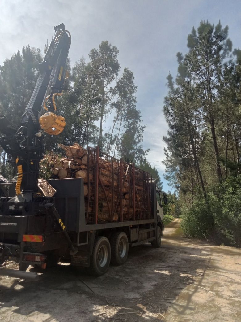 Renault Kerax 400 6x4 com grua guerra e reboque  florestal