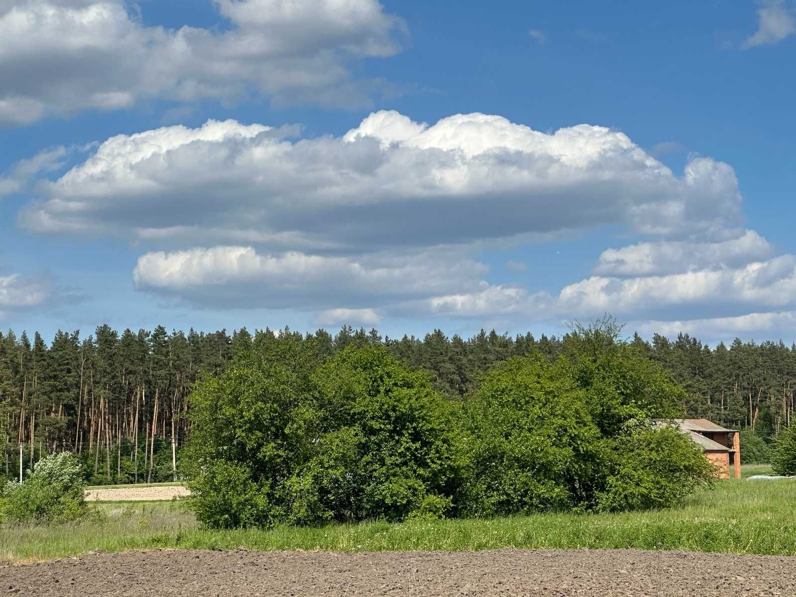 Продається земельна ділянка в Сосонці