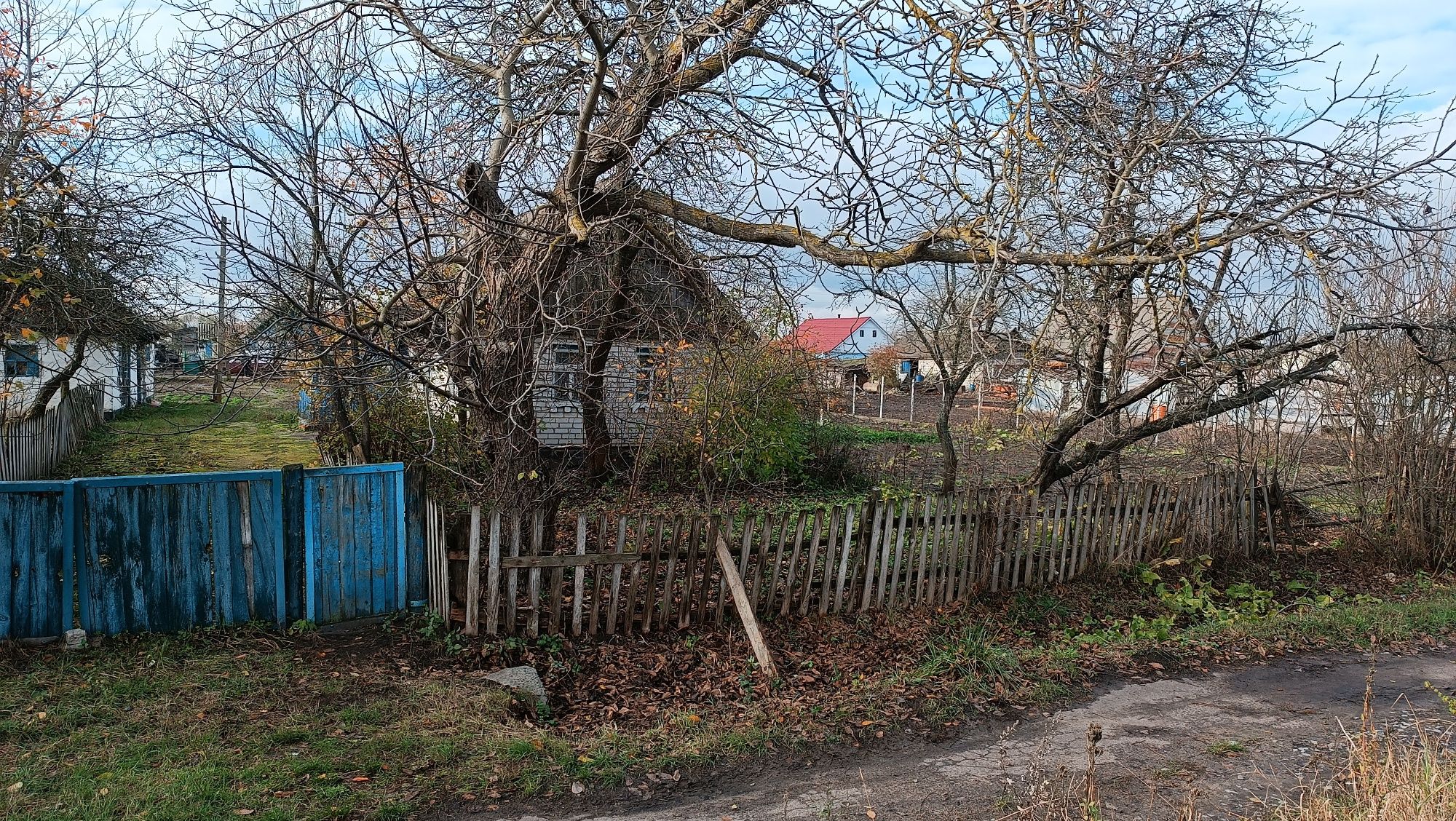 Продам земельну ділянку в с.Оліївка зі старим будинком