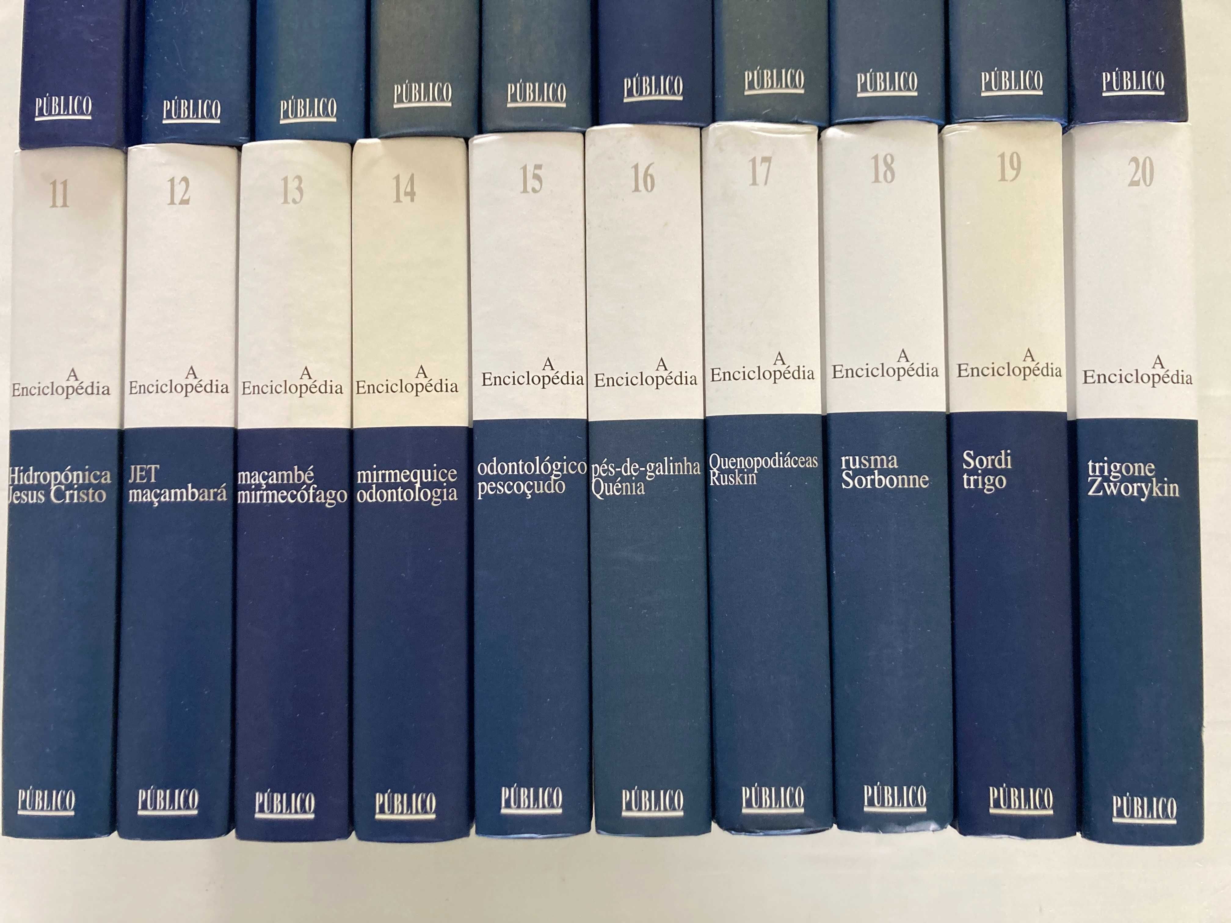 A Enciclopédia - 20 Volumes