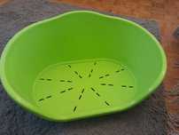 Cama para animais