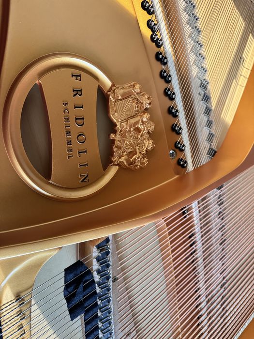 Fortepian Fridolin Schimmel F156 T