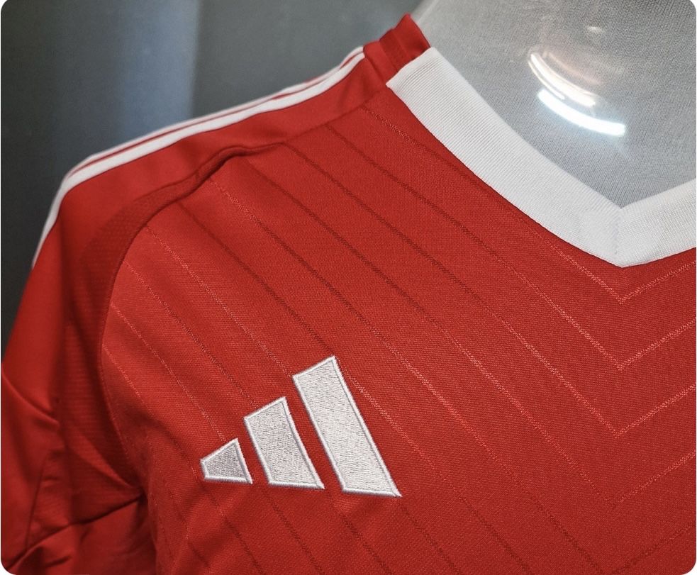 Camisola benfica 24/25