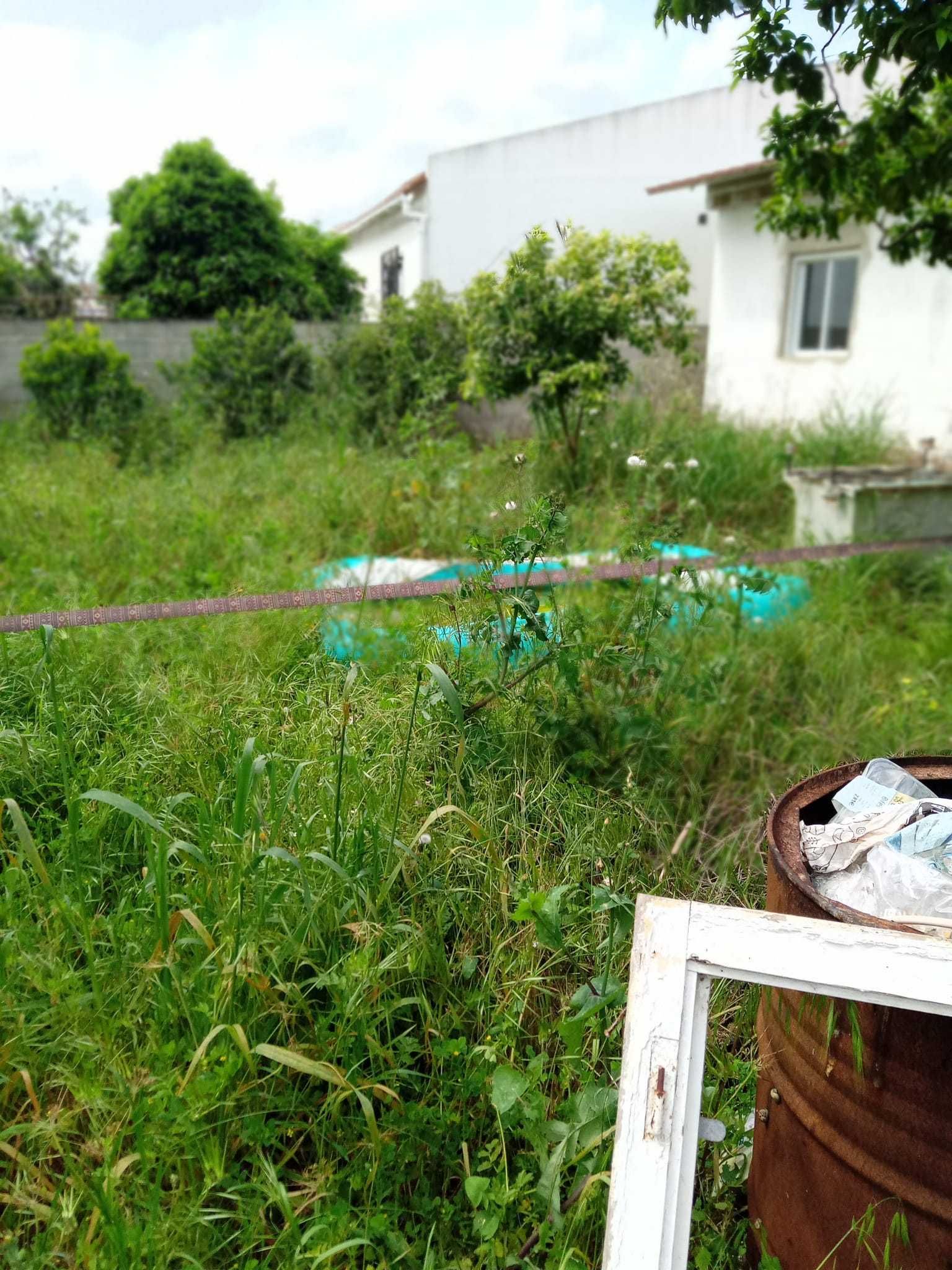 Limpeza de terrenos agrícolas florestais hortícolas jardins aceiros.