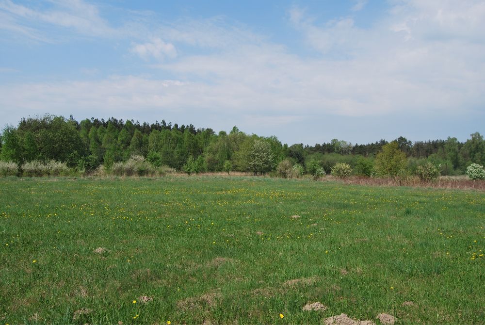 Działki Inwestycyjne o powierzchni 10,69 ha