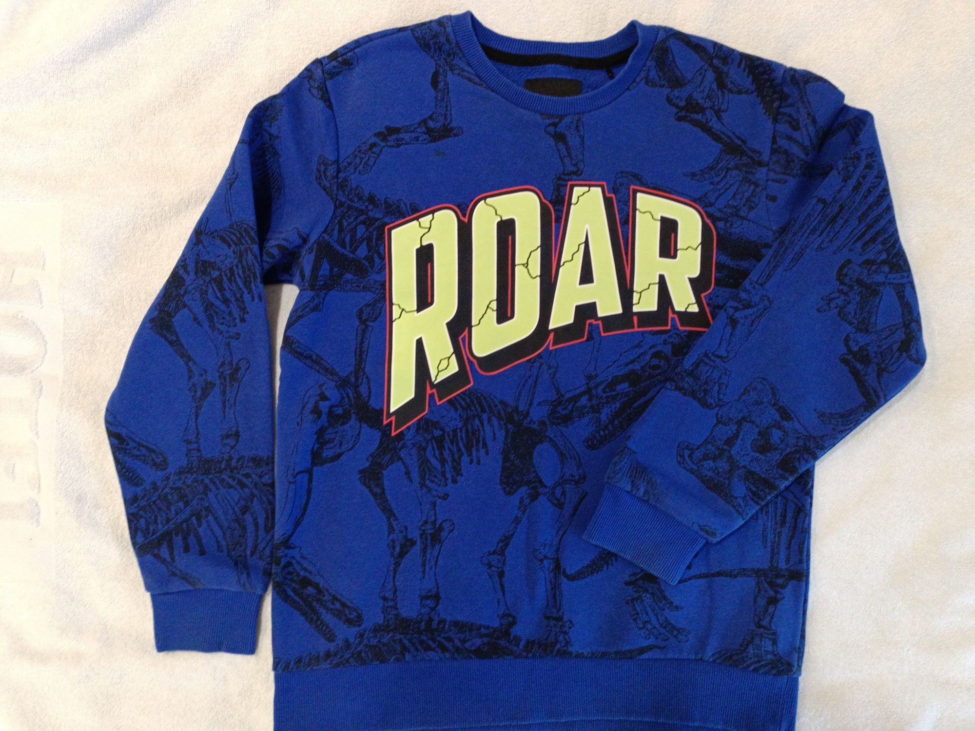 Bluza dinozaury Dino Reserved 146 152