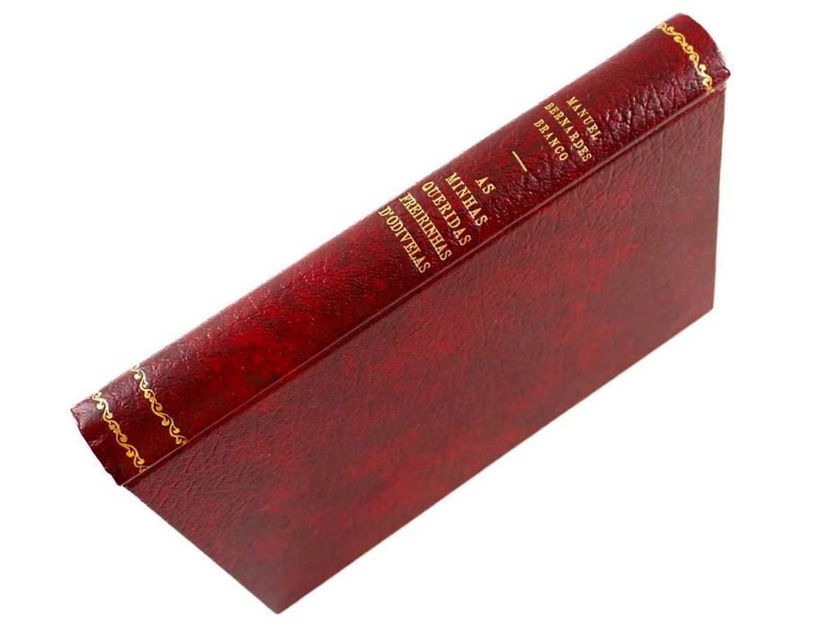 Asa minhas Queridas Freirinhas de Odivelas