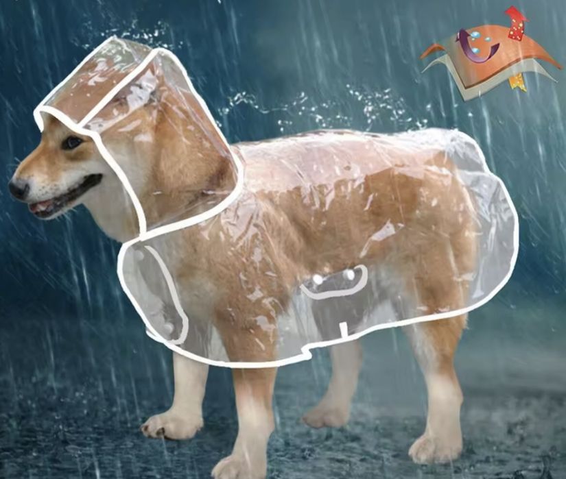 Дощовик для собак