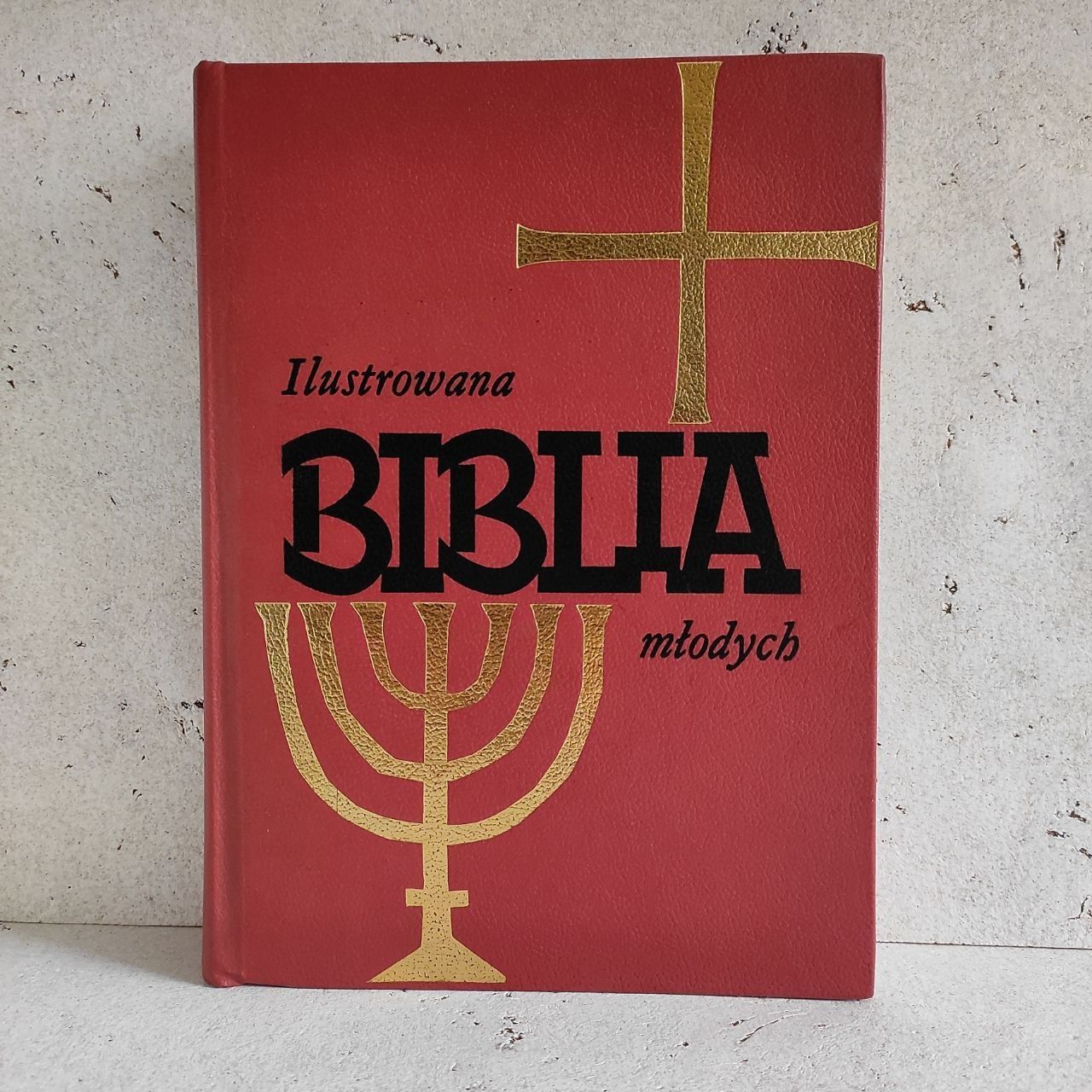 Biblia ilustrowana dla dzieci