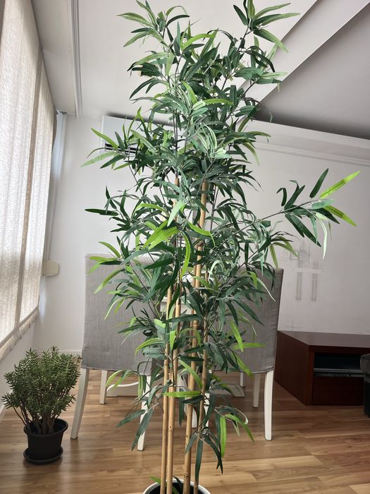Planta artificial, com vaso (IKEA FEJKA)