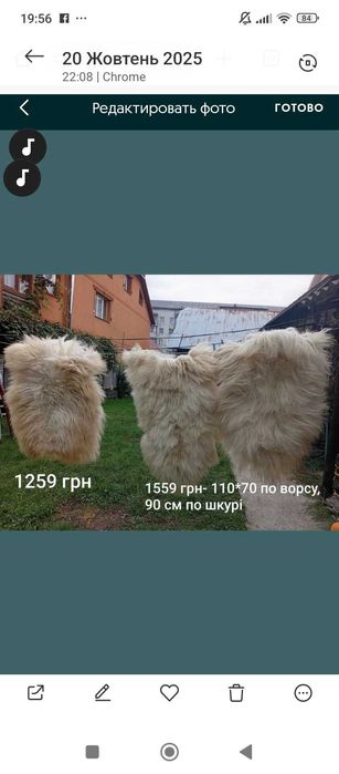 Шкурка овеча вичінена