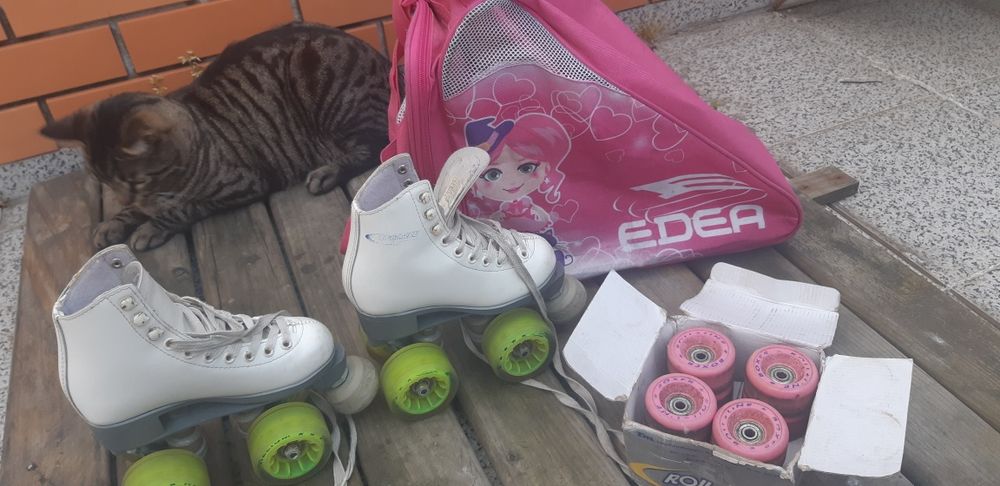 Patins de iniciação