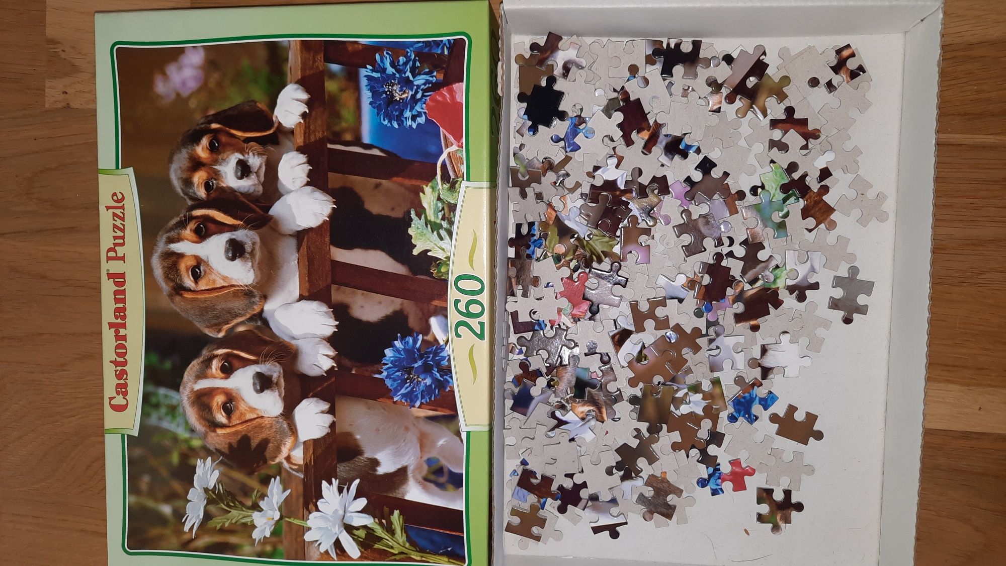 Puzzle 260 elementów