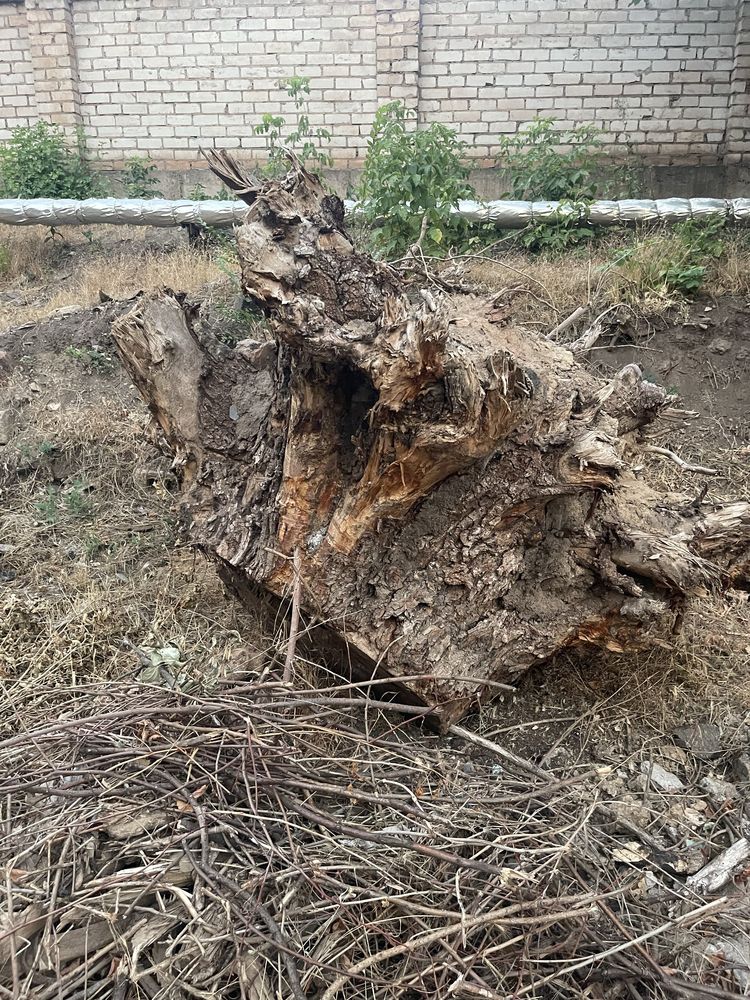 Отдам даром