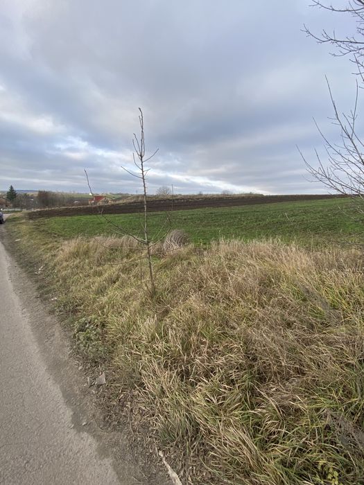 Продам земляну ділянку