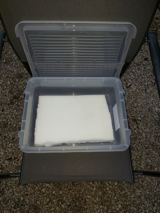 Auloforus żywy pokarm gotowy zestaw gąbka rurecznik