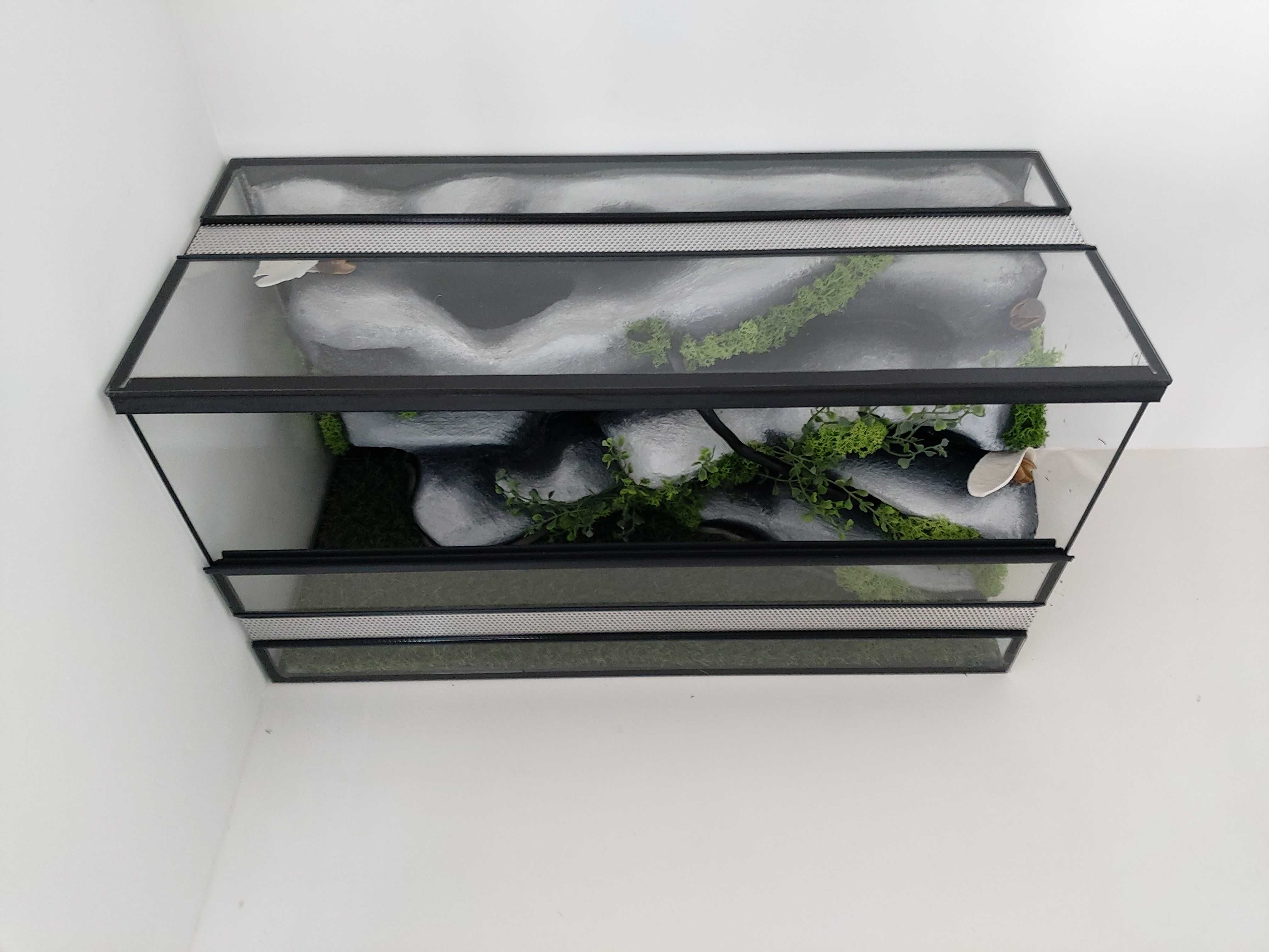 Terrarium dla gekona lamparciego, zbożówki, pytona TW21K, AquaWaves