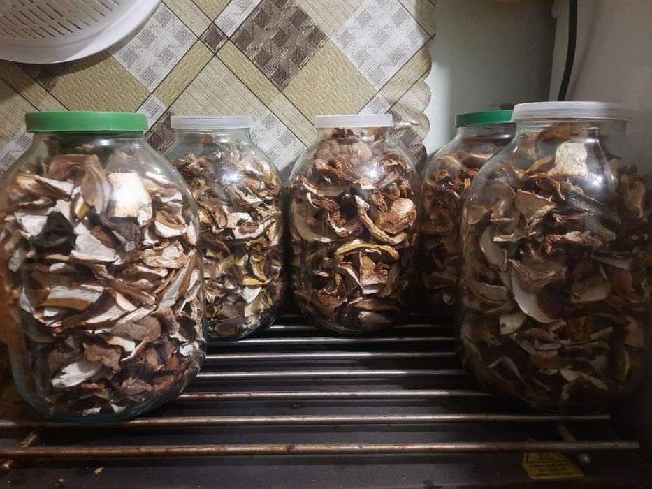 Білі сушені гриби