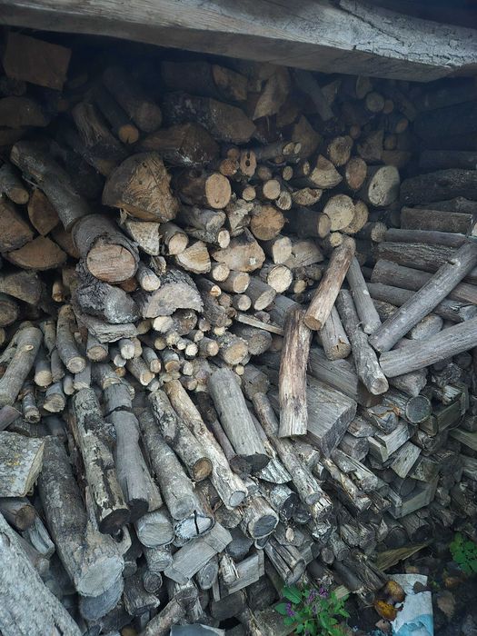 Drewno opałowe sezonowane