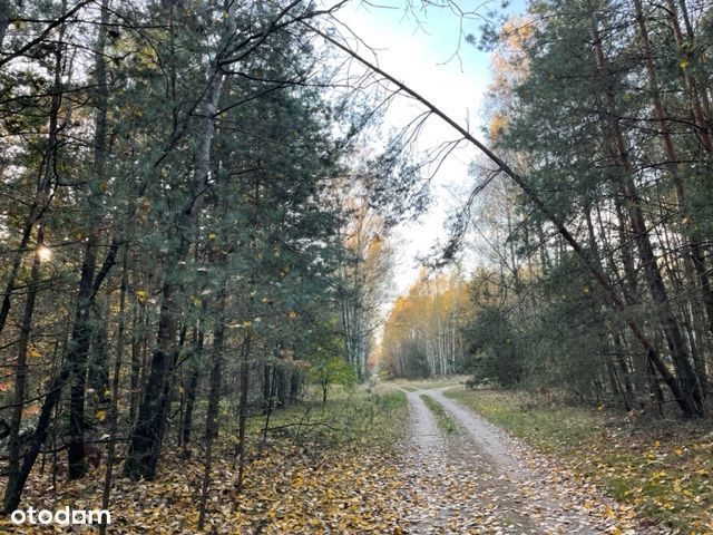 Piękna działka - cisza spokój - las- 50 min od Waw