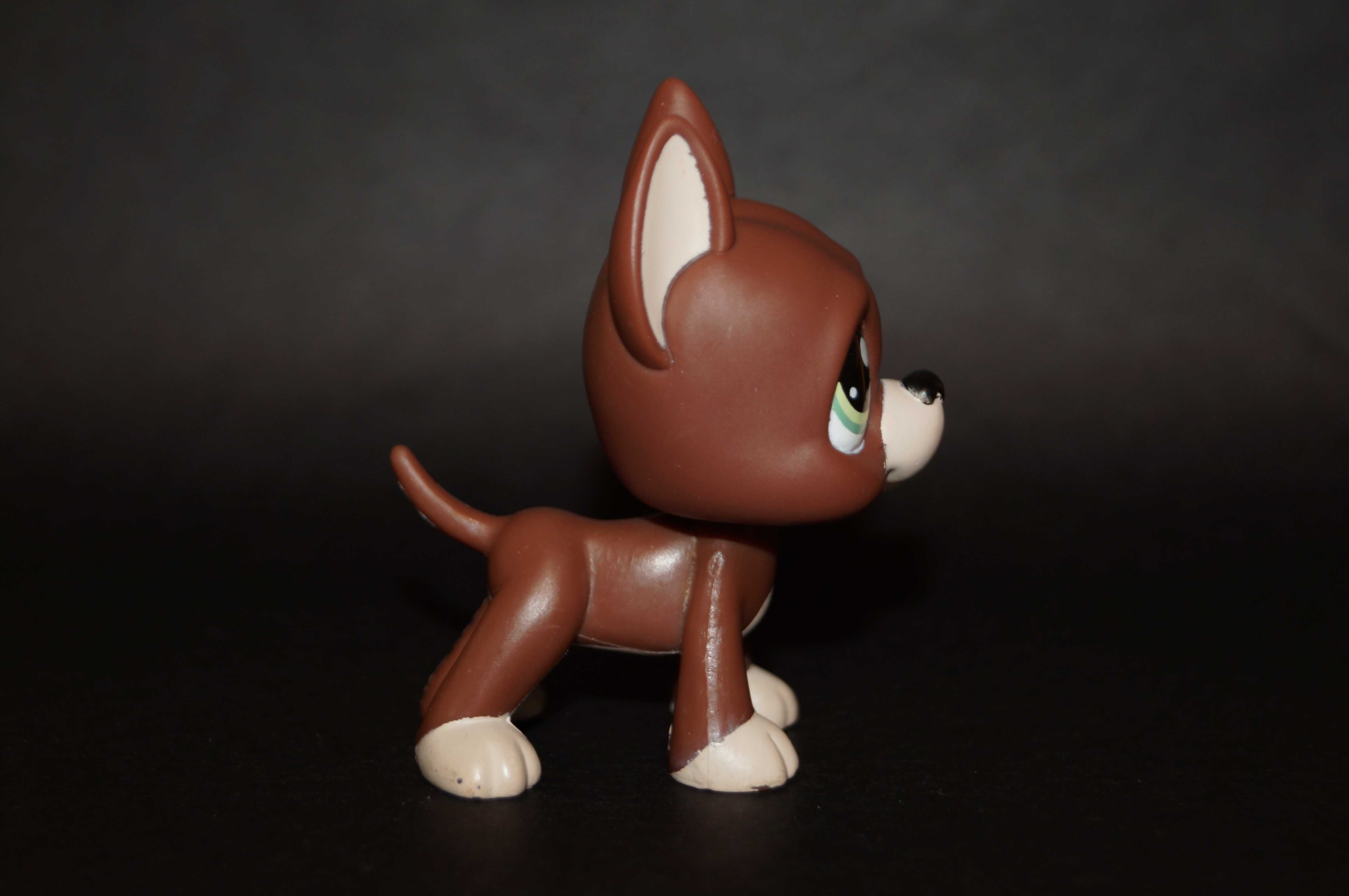 Littlest Pet Shop #1519 dog oryginalny LPS pop oryginał 100% Logan