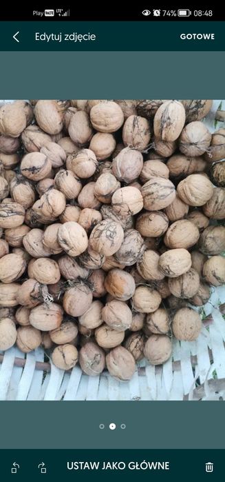 Orzechy włoskie 10 kilo