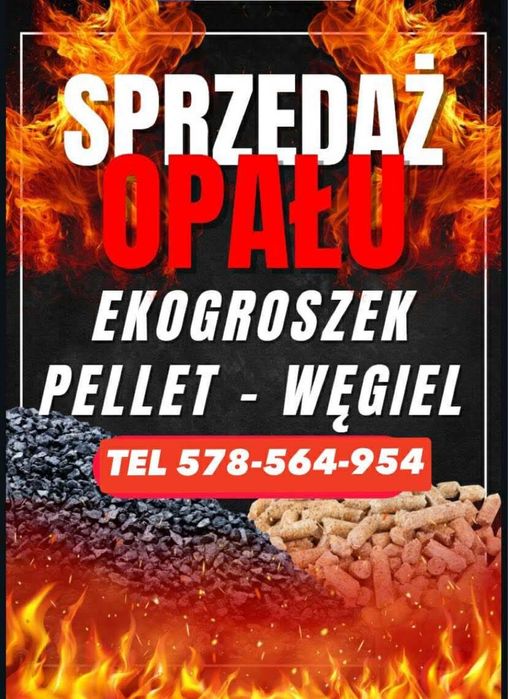 NAJTANIEJ ! Ekogroszek Sztygar Ultra 28 Mj