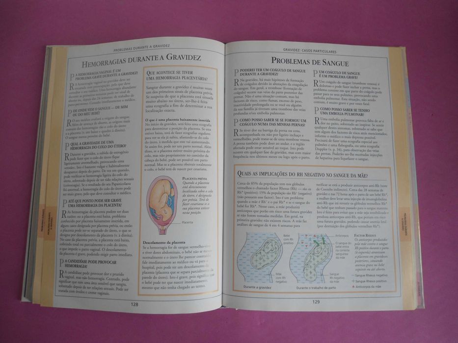 A Gravidez - Perguntas e Respostas (vários autores)