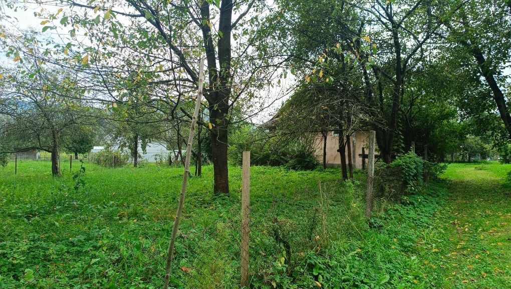 Будинок земля в горах с. Розтоки