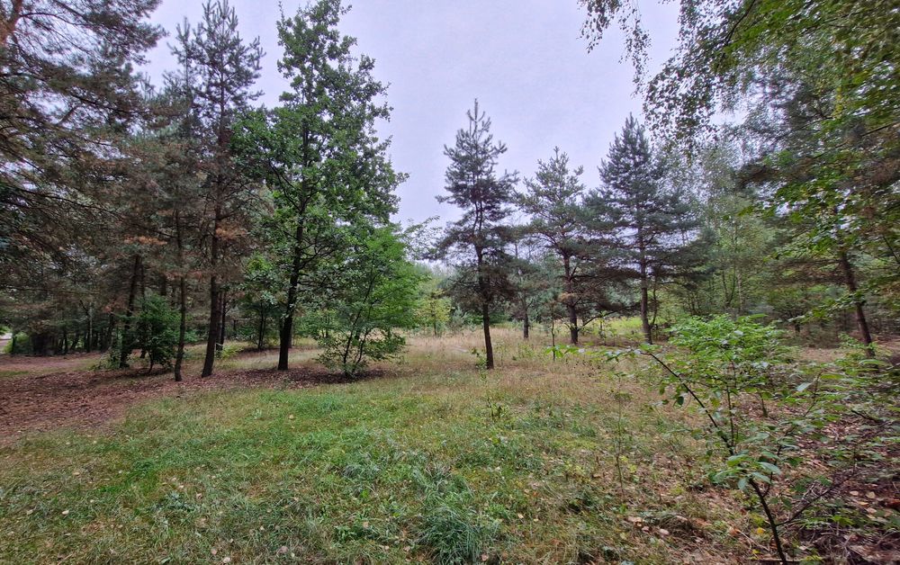 Działka Stanisławów Stare Babice 897 m2 Kampinos