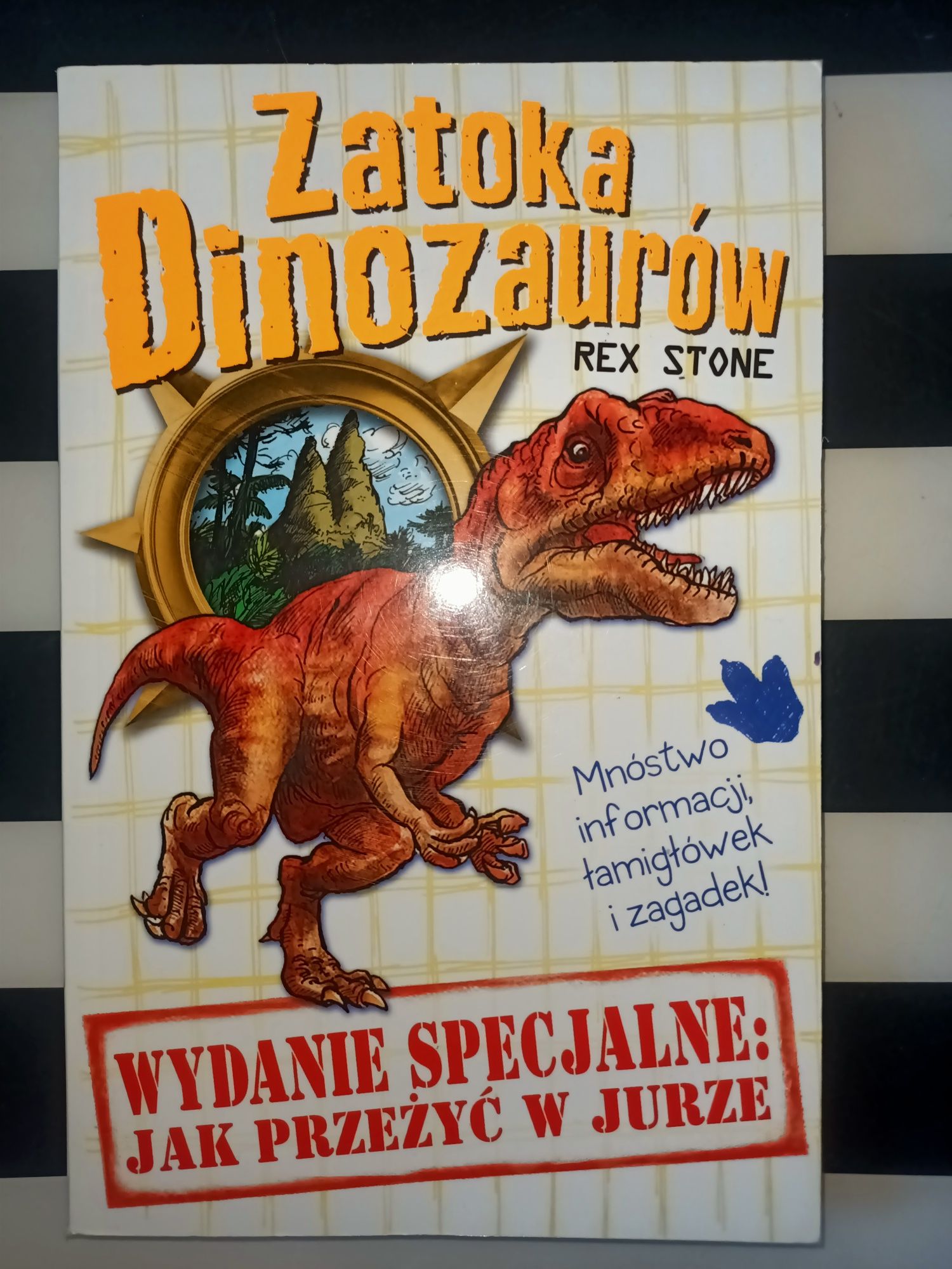 Zatoka Dinozaurów Rex Stone tom 14 Jak przeżyć w jurze