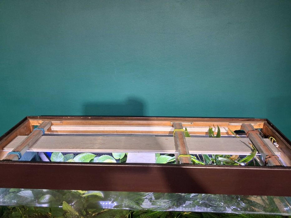 Akwarium 160 litrów