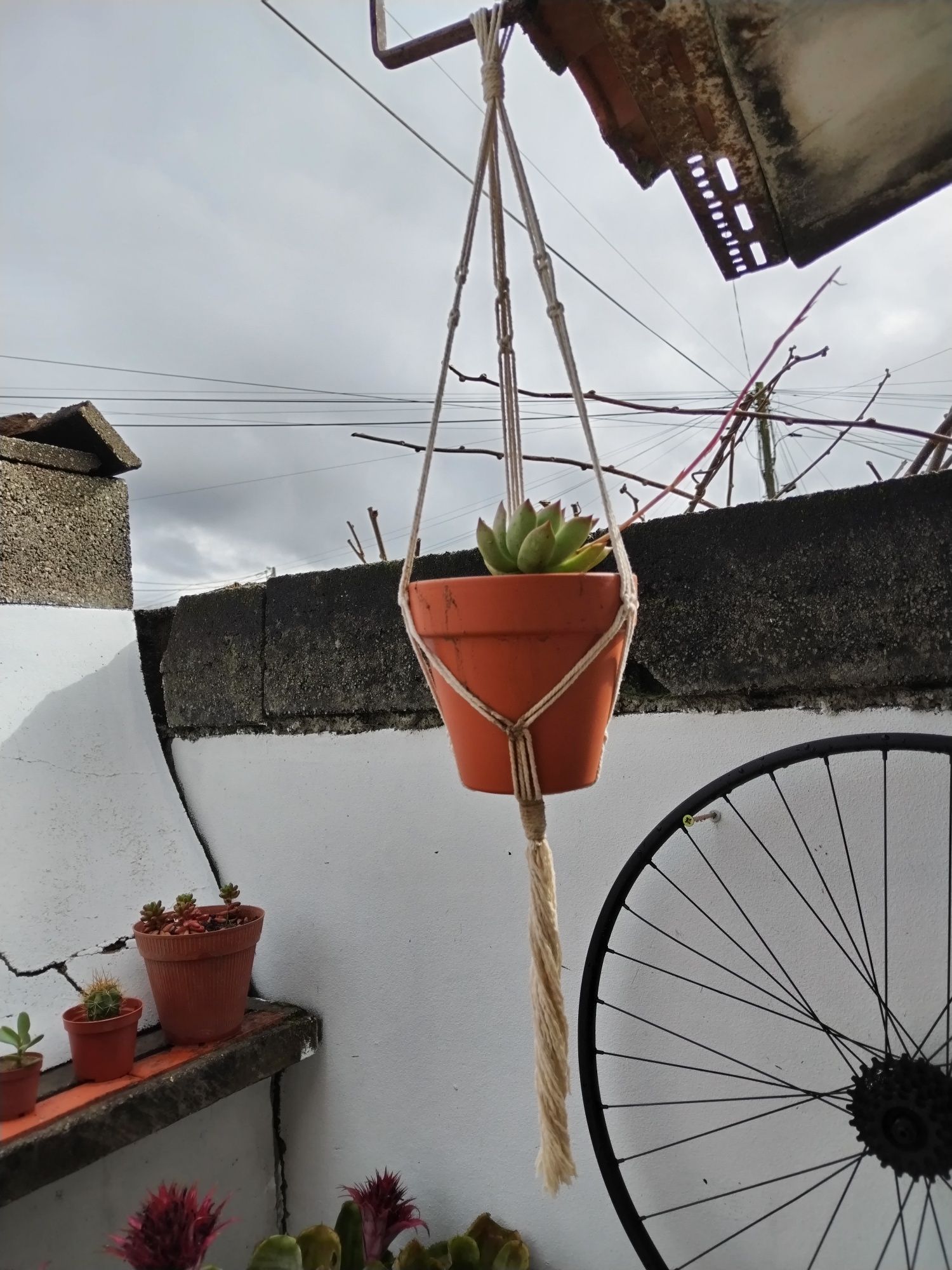 Suporte de vasos em macramé com vaso e suculenta