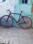 Bicicleta Nolobi Carbono